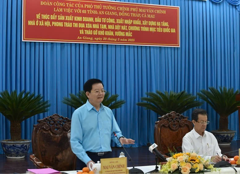 安江同塔金瓯三省积极开展政府决议