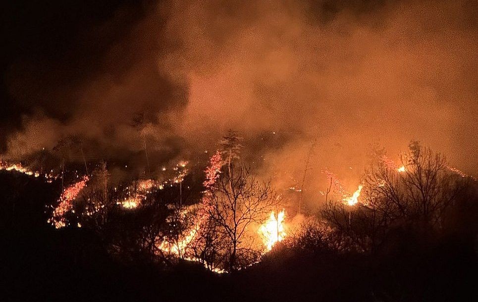 庆尚南道山清郡山火现场。