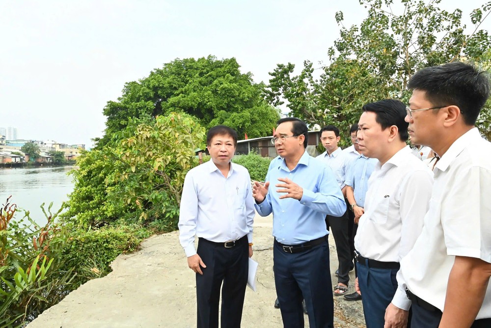 市人委会主席实地考察第八郡兴富坊对涌北岸项目。