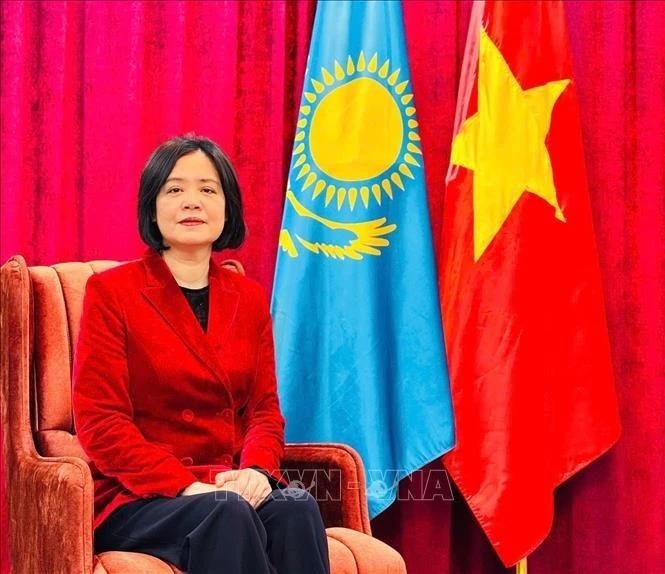 越南驻哈大使范泰如梅。（图：越通社）