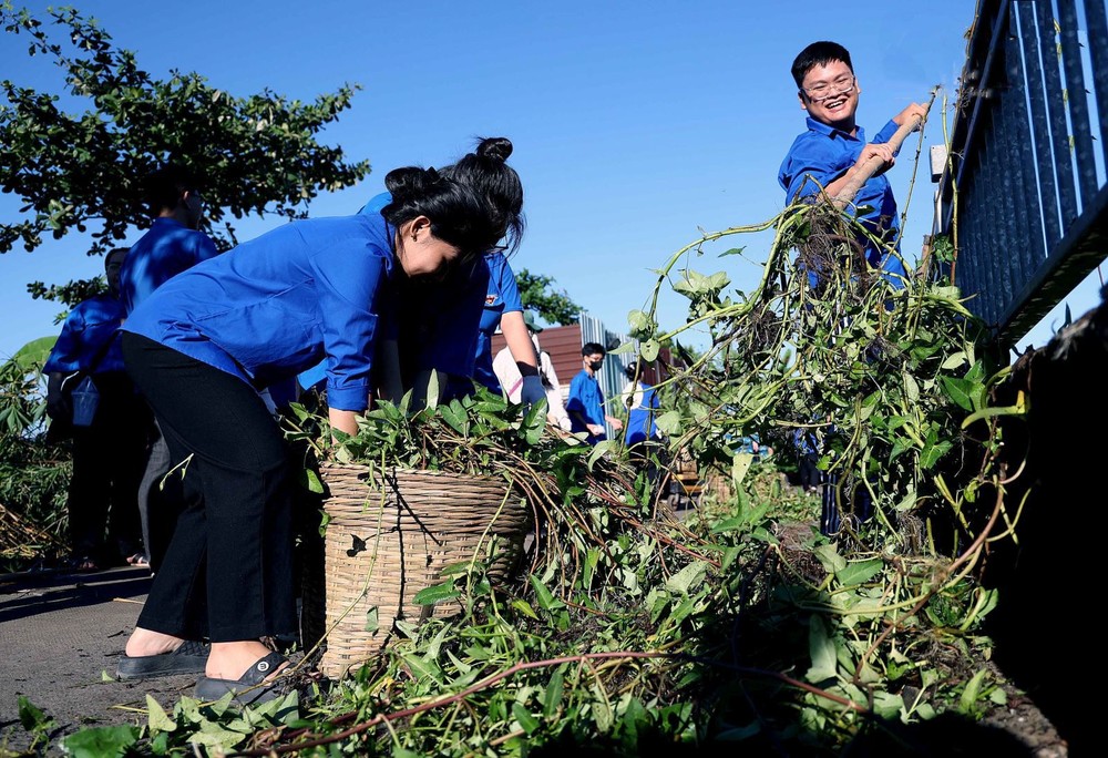 志愿者在六呈涌沿线携手清理垃圾、疏通水流、改善环境景观。(图:越通社)