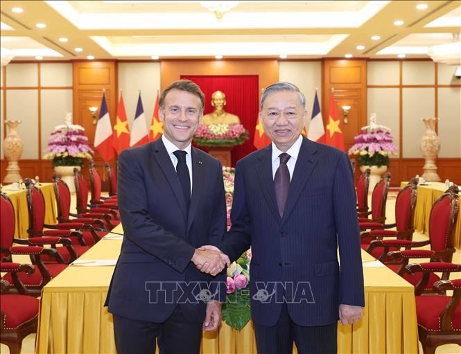 党中央总书记苏林接见法国总统埃马克龙。(图:越通社)