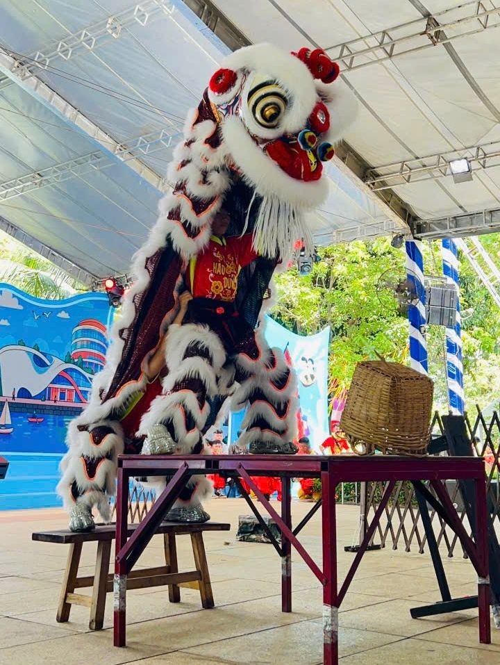 市少儿传统南狮与龙狮联欢比赛