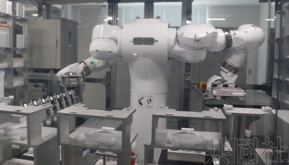 日拟 2025 年度制定AI机器人应用战略