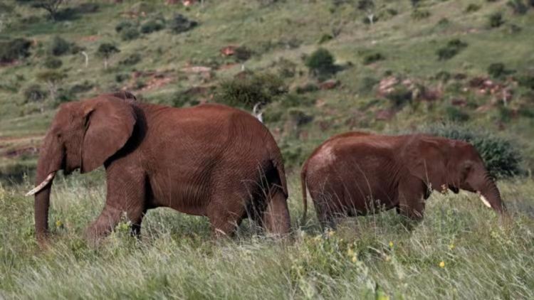 （示意图：互联网）