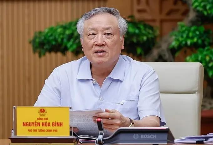 政府常务副总理阮和平。（图：VGP）