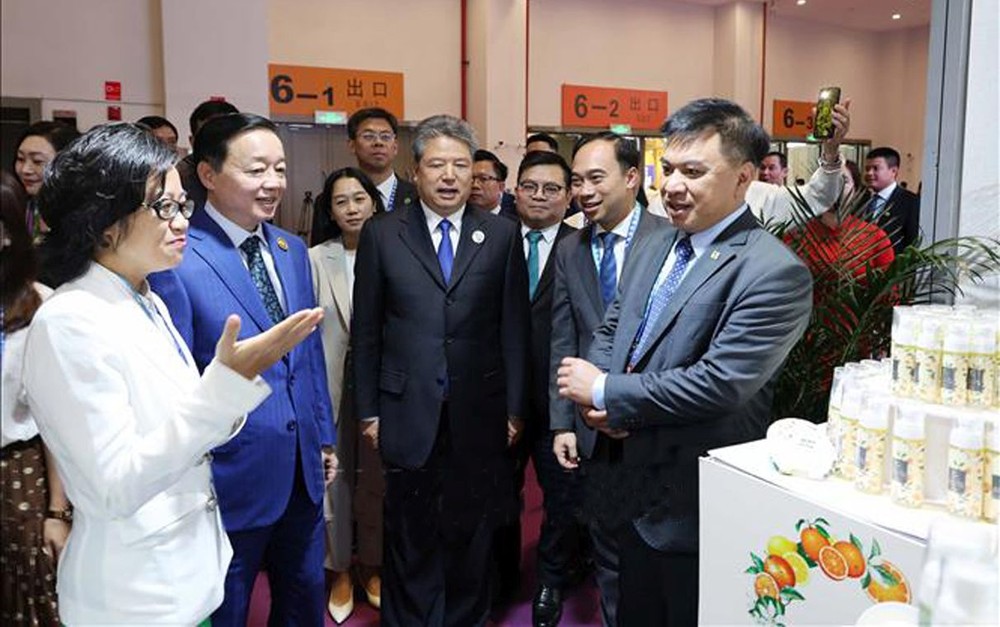 政府副总理陈红河参观越南展位。(图:越通社)