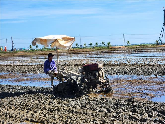 农民正加快整地并抓紧时间补种夏秋水稻。