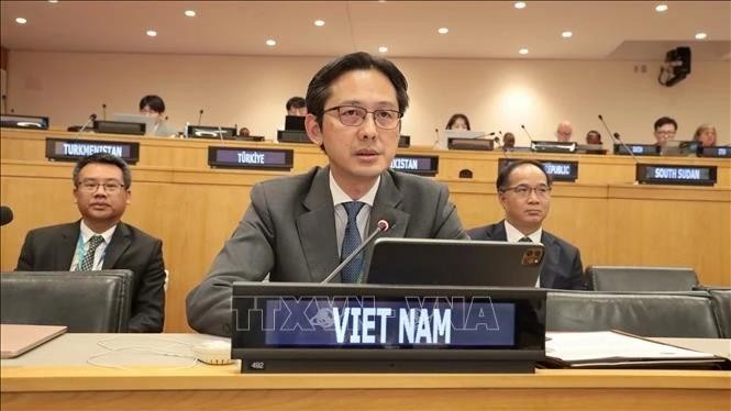 越南常驻联合国代表团团长杜雄越大使发言。(图:越通社)