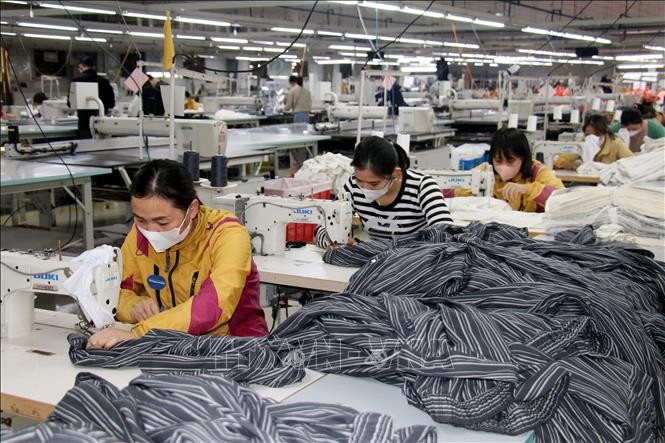 宁平省丰营乡Young – Longma成衣公司生产出口服装的车间。（图：越通社）