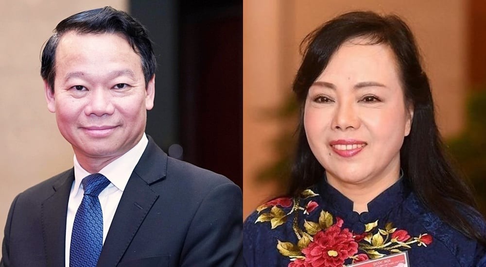 农业与环境部党委书记兼部长杜德维(左)和卫生部原部长阮氏金进。(图:VOV)