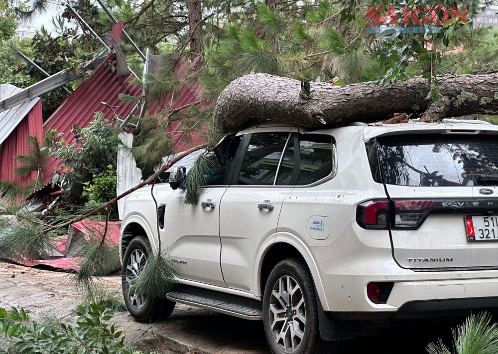 汽车被绿树折枝击中。