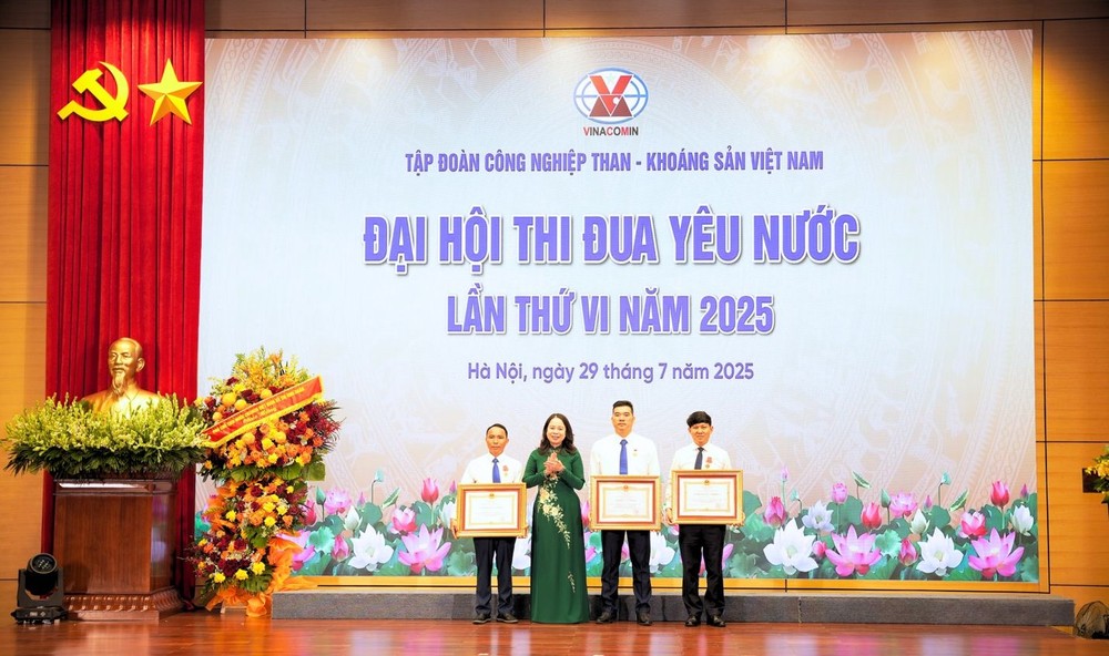 国家副主席武氏映春在大会上向取得突出成就的个人和单位颁发奖状。(图:TKV)
