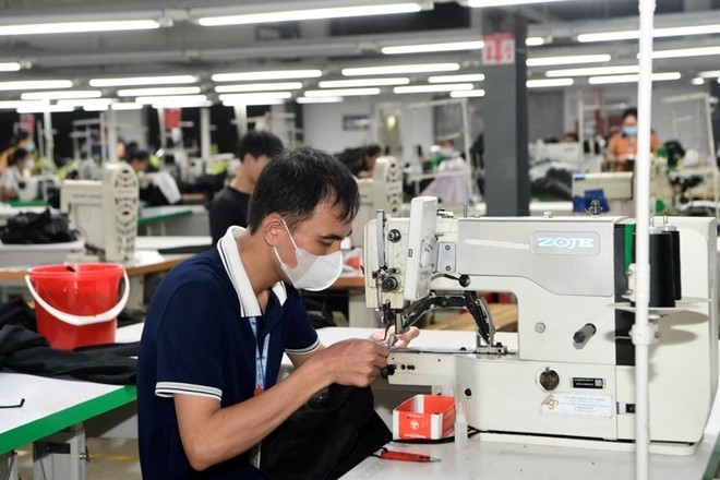 经过5年实施，EVFTA带来了许多积极成果，助力皮革鞋类、农产品、果蔬等主要出口产品开拓市场。（图：越通社）