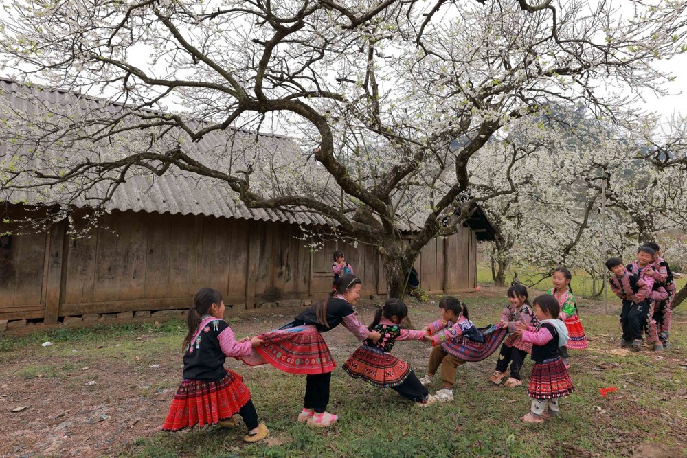 旅游业也强劲发展，仅2024年接待国际游客超过1750万人次，巩固了越南作为该地区最具吸引力旅游目的地的地位。图自越通社