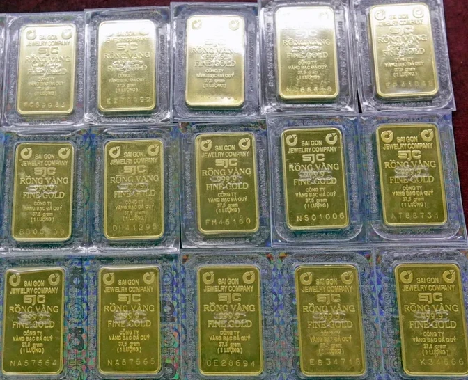 （图：越通社）