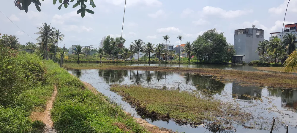 TPHCM: Đẩy nhanh tiến độ cấp sổ hồng cho người dân tự phân lô, tách thửa