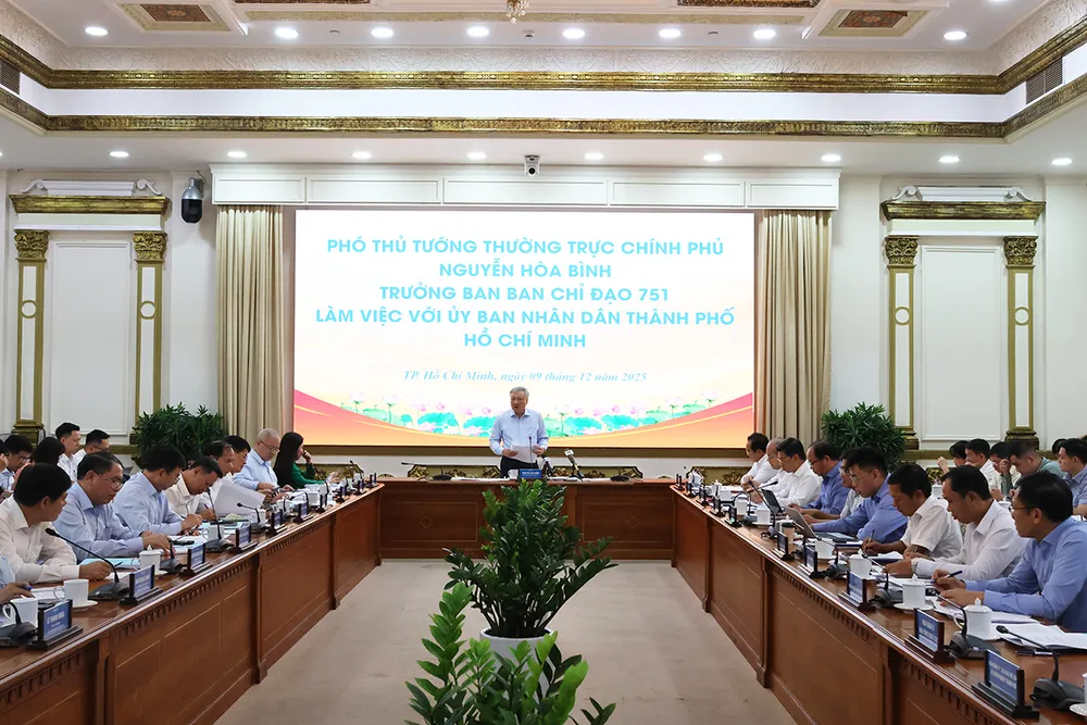 Phó Thủ tướng Thường trực Nguyễn Hòa Bình phát biểu tại cuộc họp.