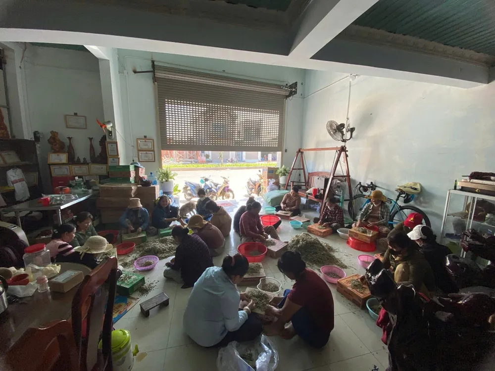 Bình châu mt 1.jpg