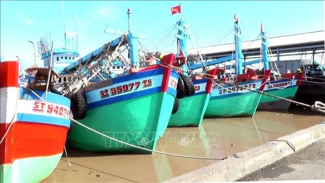 以生动直观的形式加大宣传力度 打击IUU捕捞活动。图自越通社