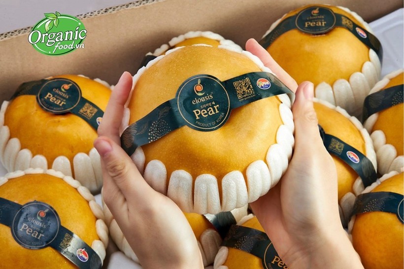 附图。图自organicfood.vn