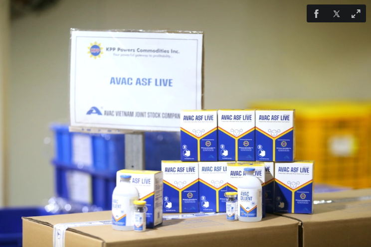 越南向菲律宾再出口34万剂非洲猪瘟疫苗。