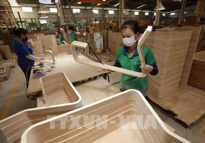 越南林业和森林保护局刚推出了WoodID应用程序，这是一款基于移动设备的人工智能应用程序，用于帮助识别木材。