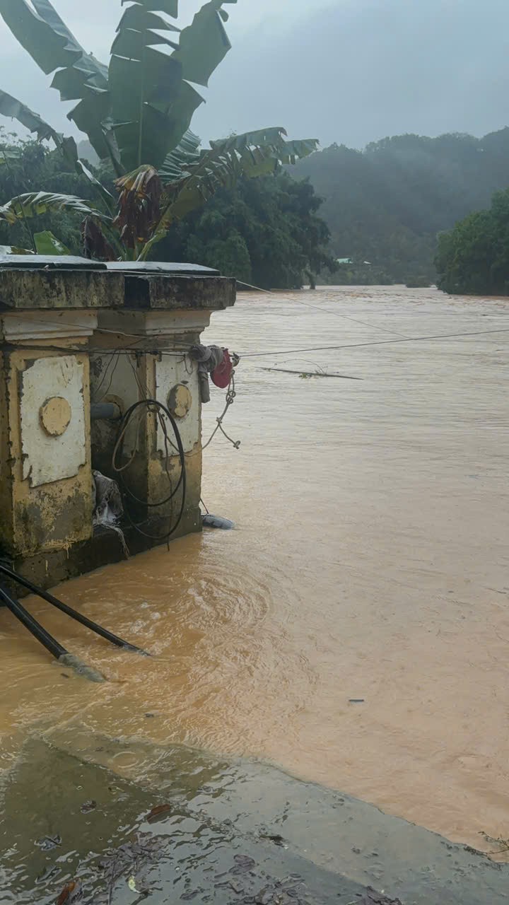 2  z7162382652915-28428a219c0ee3005cbb68cf0147be0e-8128-3130.jpg