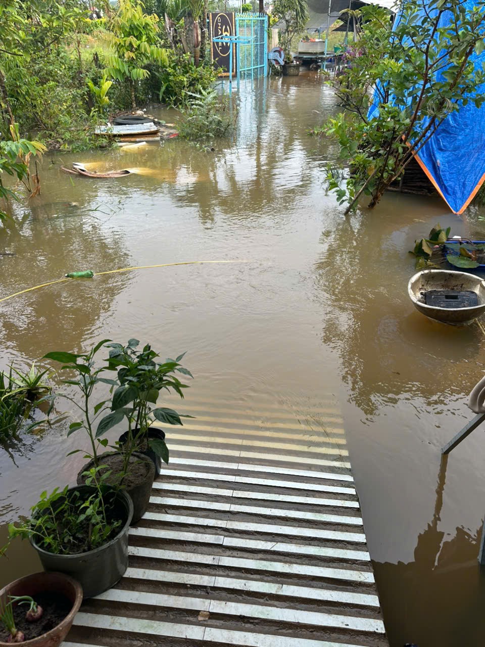 3  z7231920337234-b93558df74368a791e00affd8e426189-5049-466.jpg