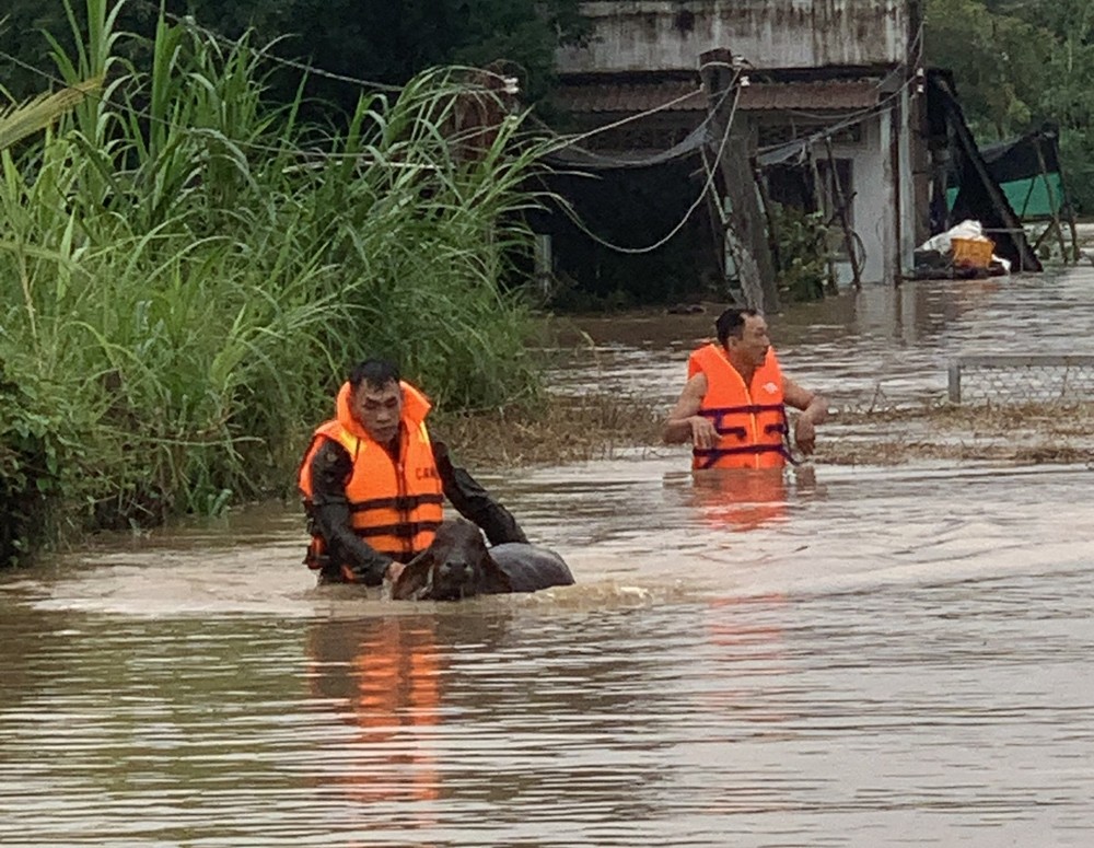 2  z7290329325562-6135462d541a4bcd395066b8c433c3d1-5668-3662.jpg