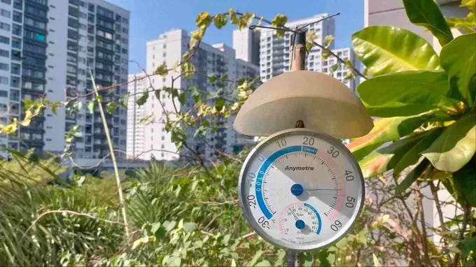  12月16日南部阳光强烈。