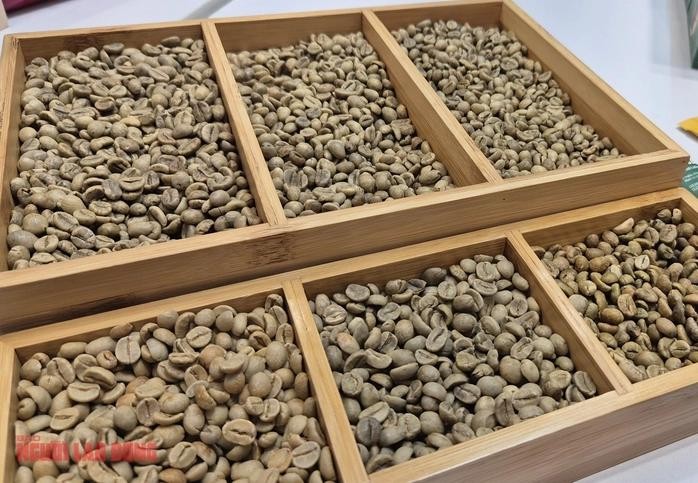 咖啡价格进入收获季节时大幅下跌。