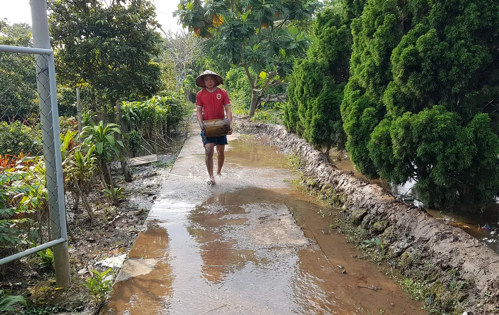 Triều cường tiếp tục dâng lên cao, nhiều nơi bị ngập sâu ảnh 3 Triều cường tiếp tục dâng lên cao, nhiều nơi bị ngập sâu ảnh 3