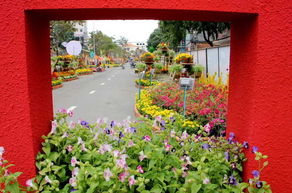Đường hoa Cần Thơ rực rỡ trước giờ mở cửa ảnh 9 Đường hoa Cần Thơ rực rỡ trước giờ mở cửa ảnh 9