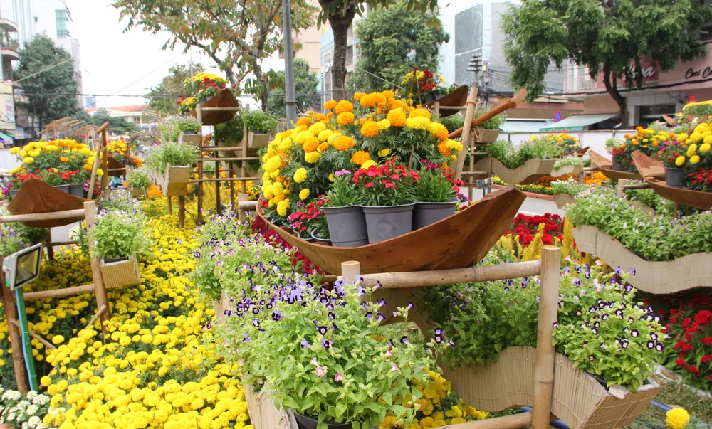 Đường hoa Cần Thơ rực rỡ trước giờ mở cửa ảnh 3 Đường hoa Cần Thơ rực rỡ trước giờ mở cửa ảnh 3