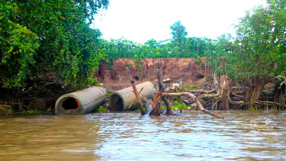 Cần đánh giá khoa học về việc gây sạt lở của tàu cao tốc trên sông Hậu ảnh 2 Cần đánh giá khoa học về việc gây sạt lở của tàu cao tốc trên sông Hậu ảnh 2