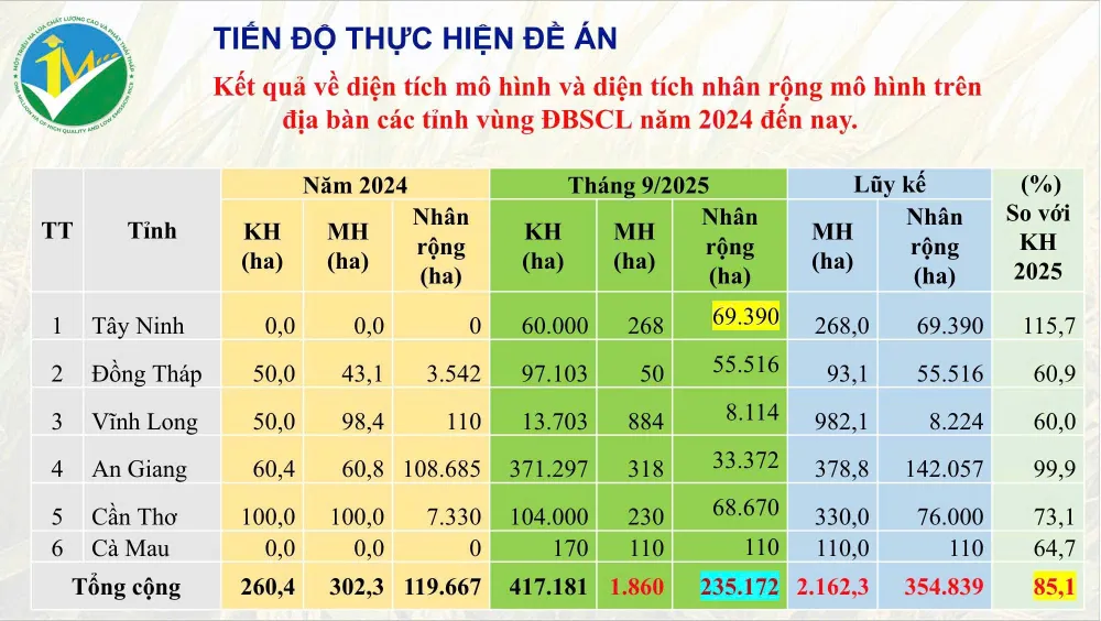 Kết quả triển khai Đề án 1 triệu ha vùng ĐBSCL từ năm 2024 đến nay f2ff2771bbc3309d69d2.jpg