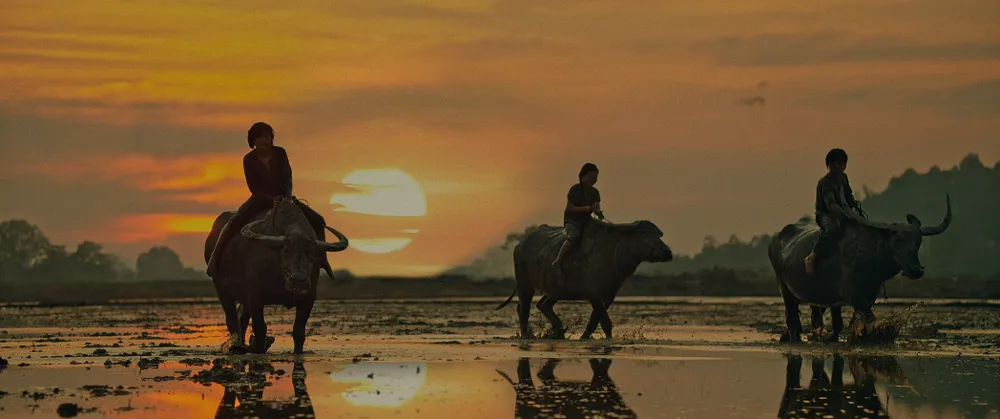 Bộ phim hứa hẹn mang đến nhiều cảm xúc cho khán giả Bộ phim hứa hẹn mang đến nhiều cảm xúc cho khán giả