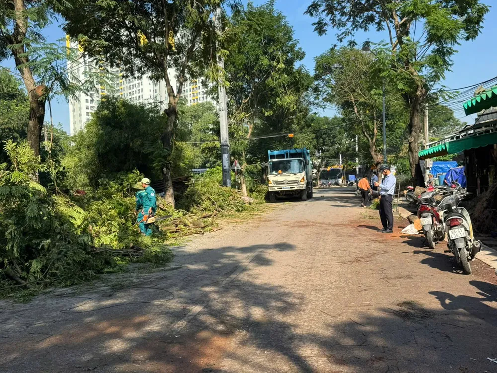 Ngày 2-10, lực lượng chức năng phường Đông Hòa ra quân dọn dẹp cây xanh ngã đổ ANH 3 (2-10).jpg