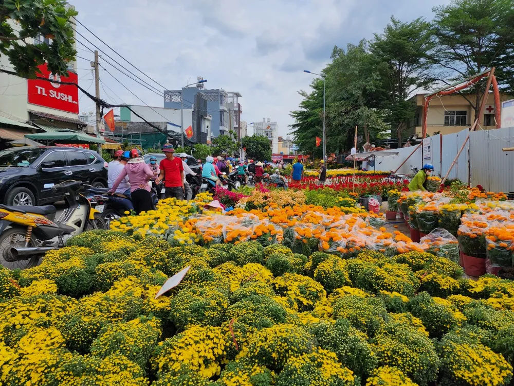 Hẻm 45, đường Phan Huy Ích, Gò Vấp chiều 30 tết đầy ắp hoa, ế ẩm bày tràn ra lề đường Hẻm 45, đường Phan Huy Ích, Gò Vấp chiều 30 tết đầy ắp hoa, ế ẩm bày tràn ra lề đường