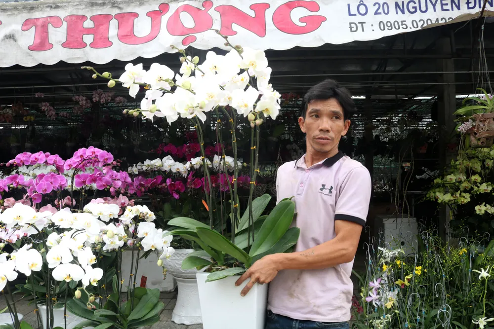 Đà Nẵng rộn rịp sắc hoa tết  ảnh 3