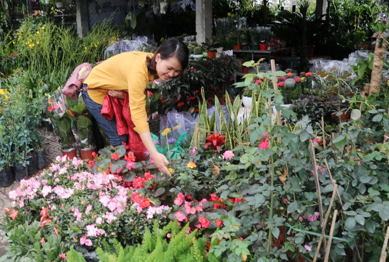 Người dân đi mua hoa trang trí ngày tết 