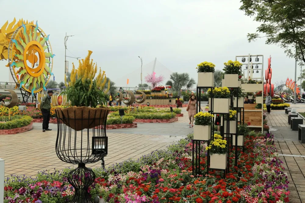 Nhộn nhịp đường hoa xuân Đà Nẵng  ảnh 2