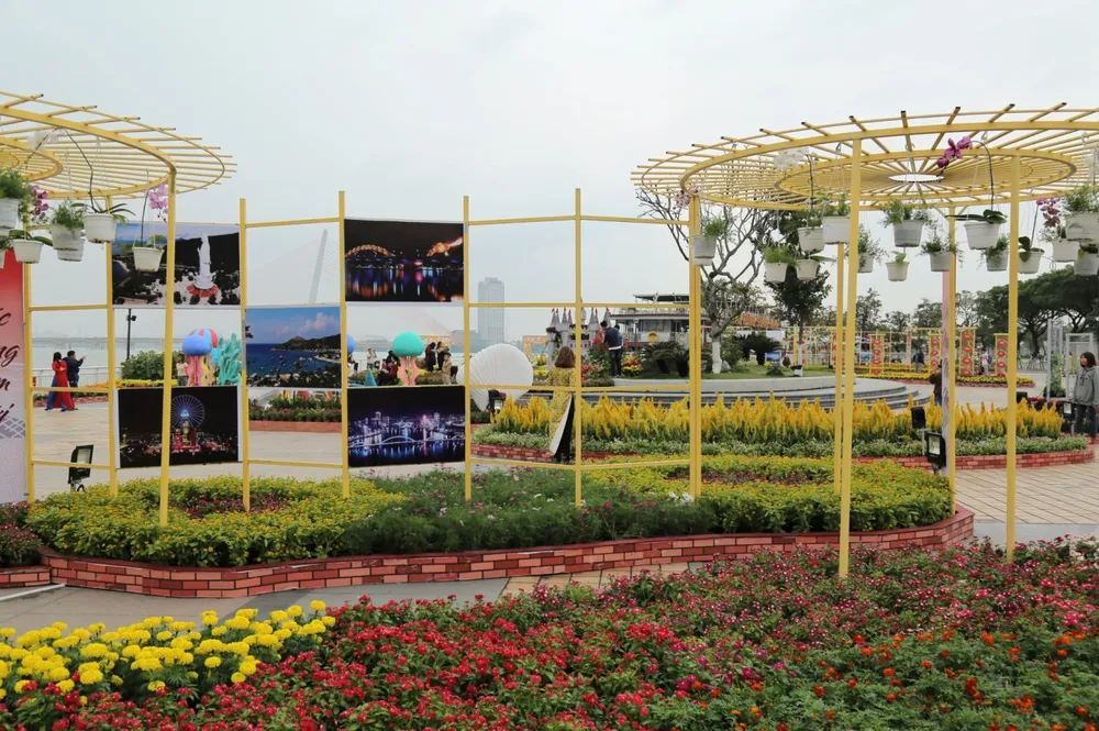 Nhộn nhịp đường hoa xuân Đà Nẵng  ảnh 10