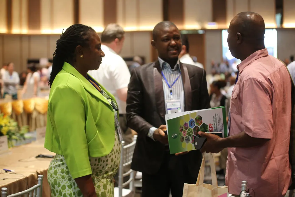 Hội đồng Quỹ Môi trường toàn cầu lần thứ 54 nhóm họp tại Đà Nẵng ảnh 3