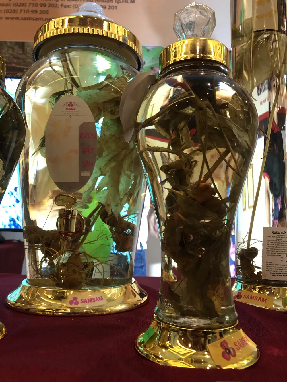 Sâm Ngọc Linh - cây “thoát nghèo” của đồng bào dân tộc thiểu số ảnh 7