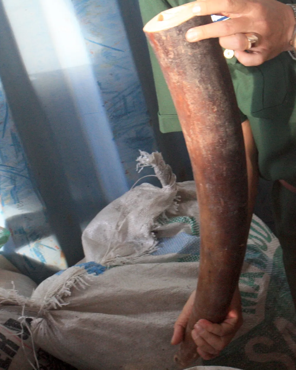 Phó Thủ tướng Thường trực Trương Hòa Bình biểu dương vụ bắt ngà voi, vảy tê tê tại cảng Tiên Sa ảnh 2