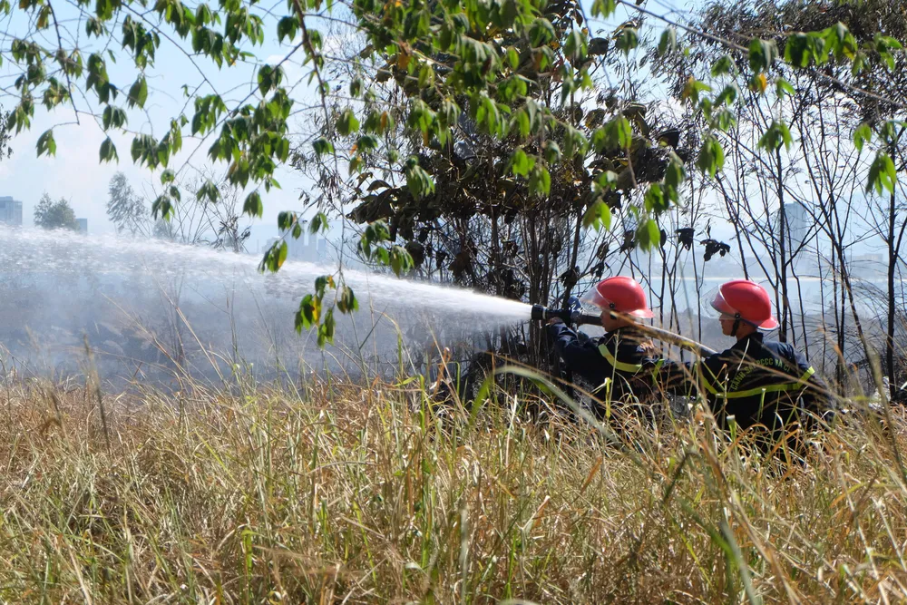 Kịp thời dập tắt đám cháy lớn trên bán đảo Sơn Trà giữa trưa ảnh 2