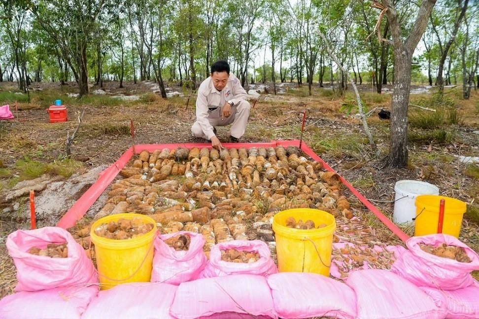 Lực lượng chức năng kiểm tra vật liệu chưa nổ rà được tại hầm.