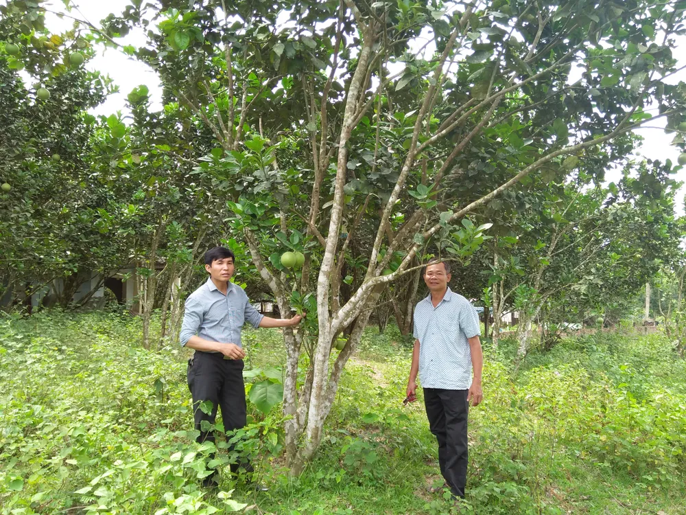 Xây dựng nền nông nghiệp công nghệ cao gắn liền với du lịch sinh thái ảnh 3 Xây dựng nền nông nghiệp công nghệ cao gắn liền với du lịch sinh thái ảnh 3